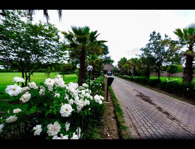 FARM FOR SALE IN MNANDI